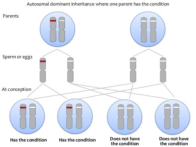 In Autosomal Dominant Inheritance Asp Date